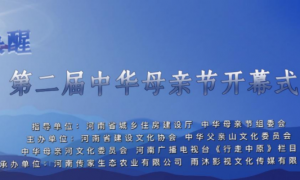 河南广播电视台《行走中原》栏目走进第二届中华母亲节活动