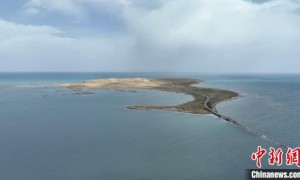 青海湖开启2023年湖中岛屿水鸟繁殖地首航监测