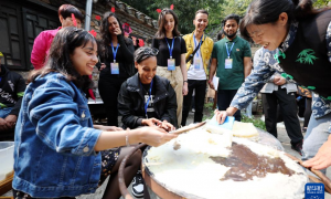 留学生体验中国乡村文化