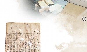 中医古籍焕发新光彩——我国加强中医古籍保护、研究与利用