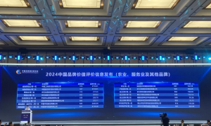 2024中国品牌价值评价信息发布 中石化易捷品牌价值再创新高