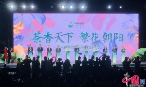 茶会雅集、国风演出 2024北京朝阳国际茶香文化节启幕
