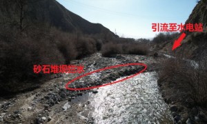 青海省一些地方小水电开发生态保护不力 影响河流生态系统健康
